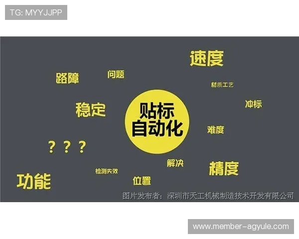 AG Zhenren会员申请成功的关键技巧与常见问题解决方案，助你轻松成为会员